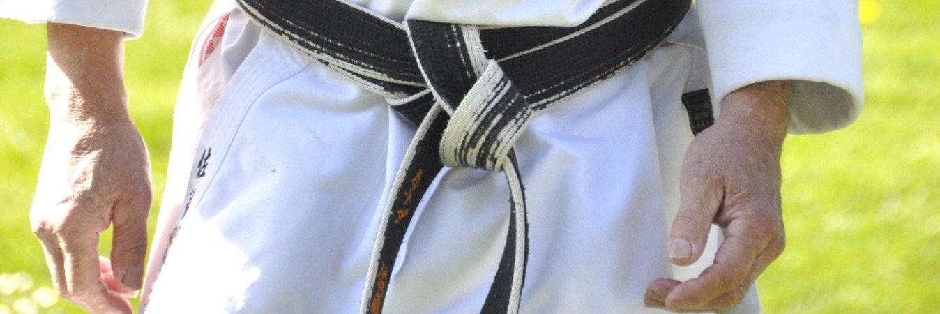 Chairman and Chief Instructor: Soke Akira Sato